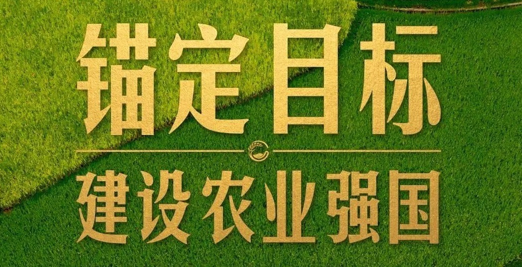 點(diǎn)燃現(xiàn)代農(nóng)業(yè)創(chuàng)新引擎，釋放農(nóng)業(yè)領(lǐng)域新質(zhì)生產(chǎn)力