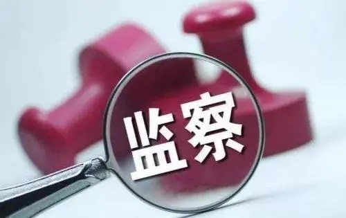 轉(zhuǎn)載丨積極推進(jìn)數(shù)字紀(jì)檢監(jiān)察體系和能力建設(shè)